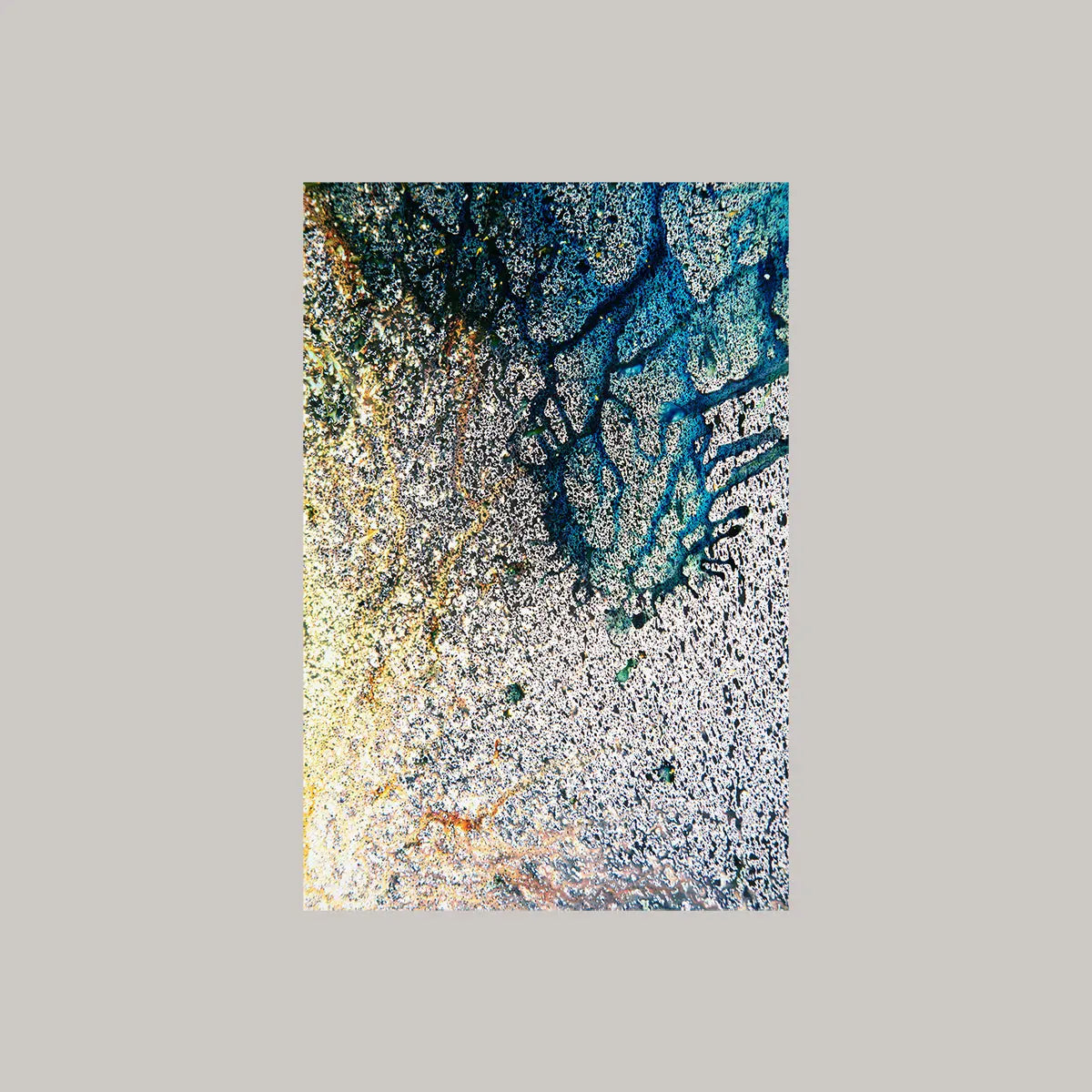 Details Editions 2014 090-12 Mariah Robertson