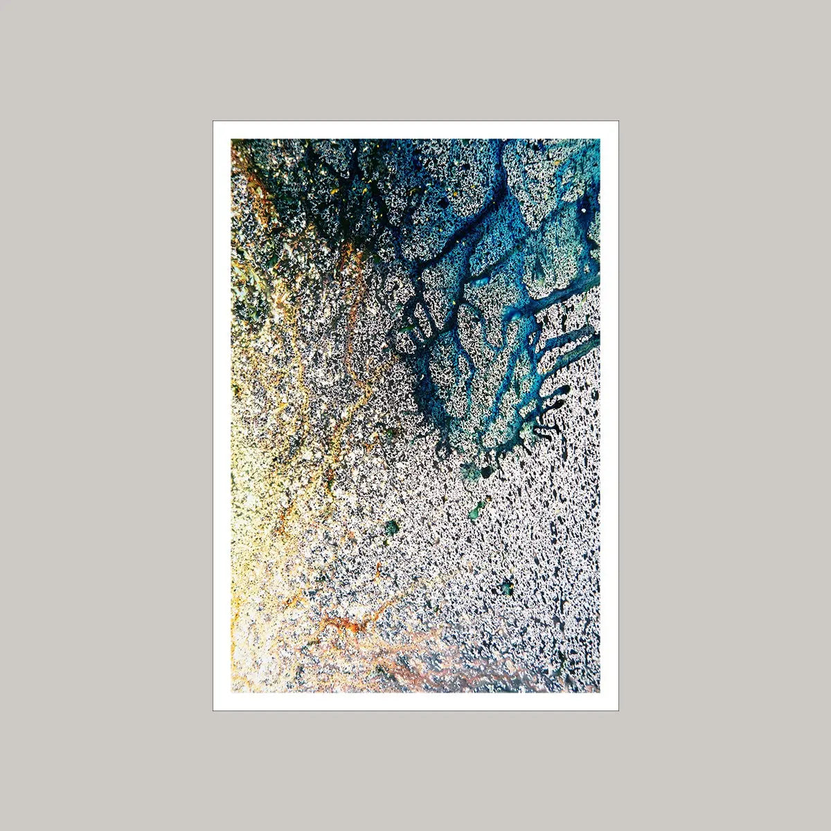 Details Editions 2014 090-12 Mariah Robertson