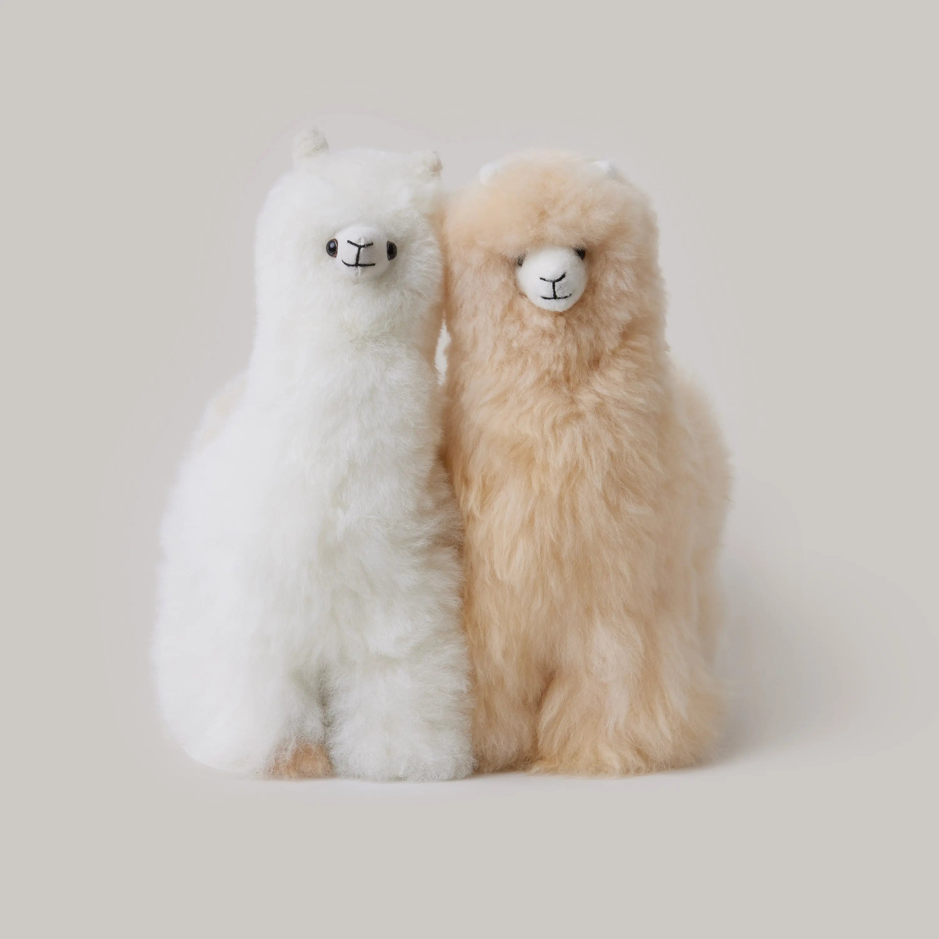 Alpaca Llama Shupaca