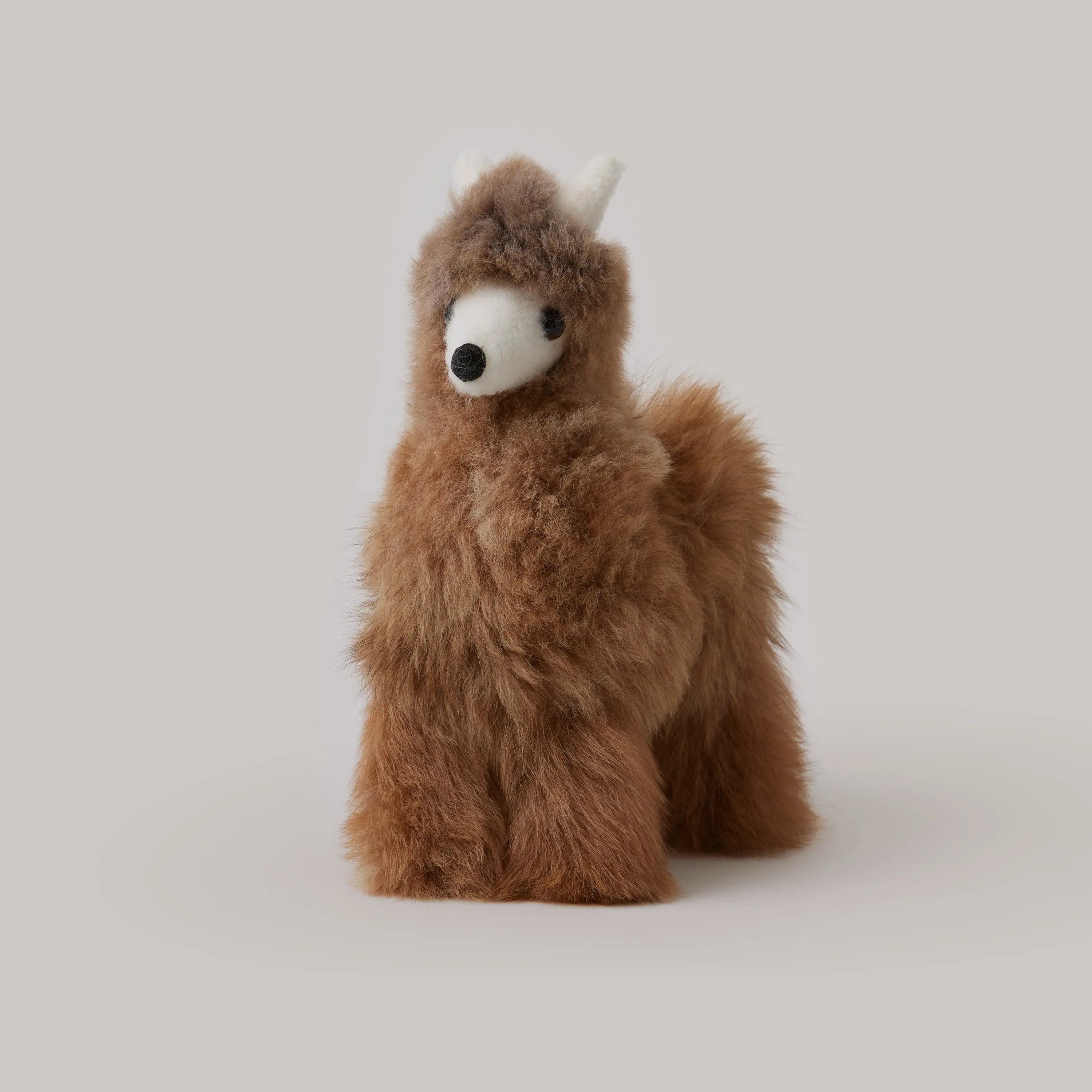 Alpaca Llama Shupaca