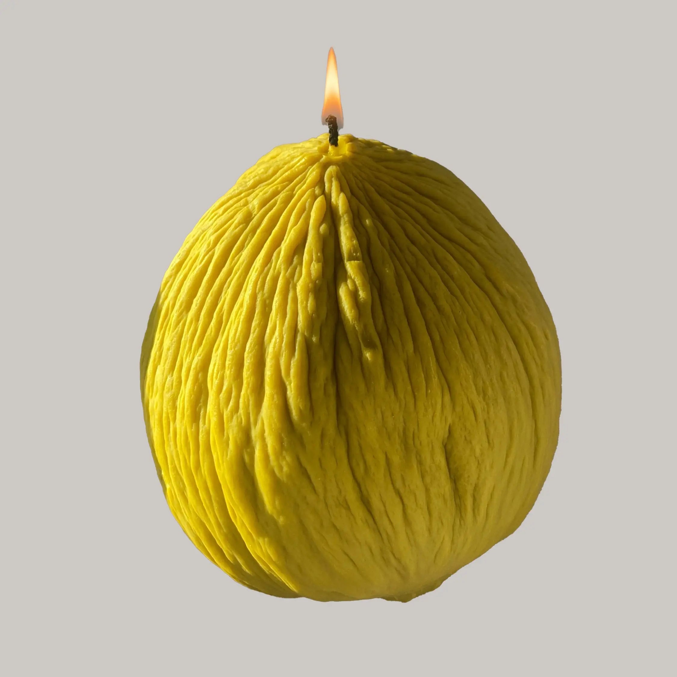 Casaba Melon Candle Scandles