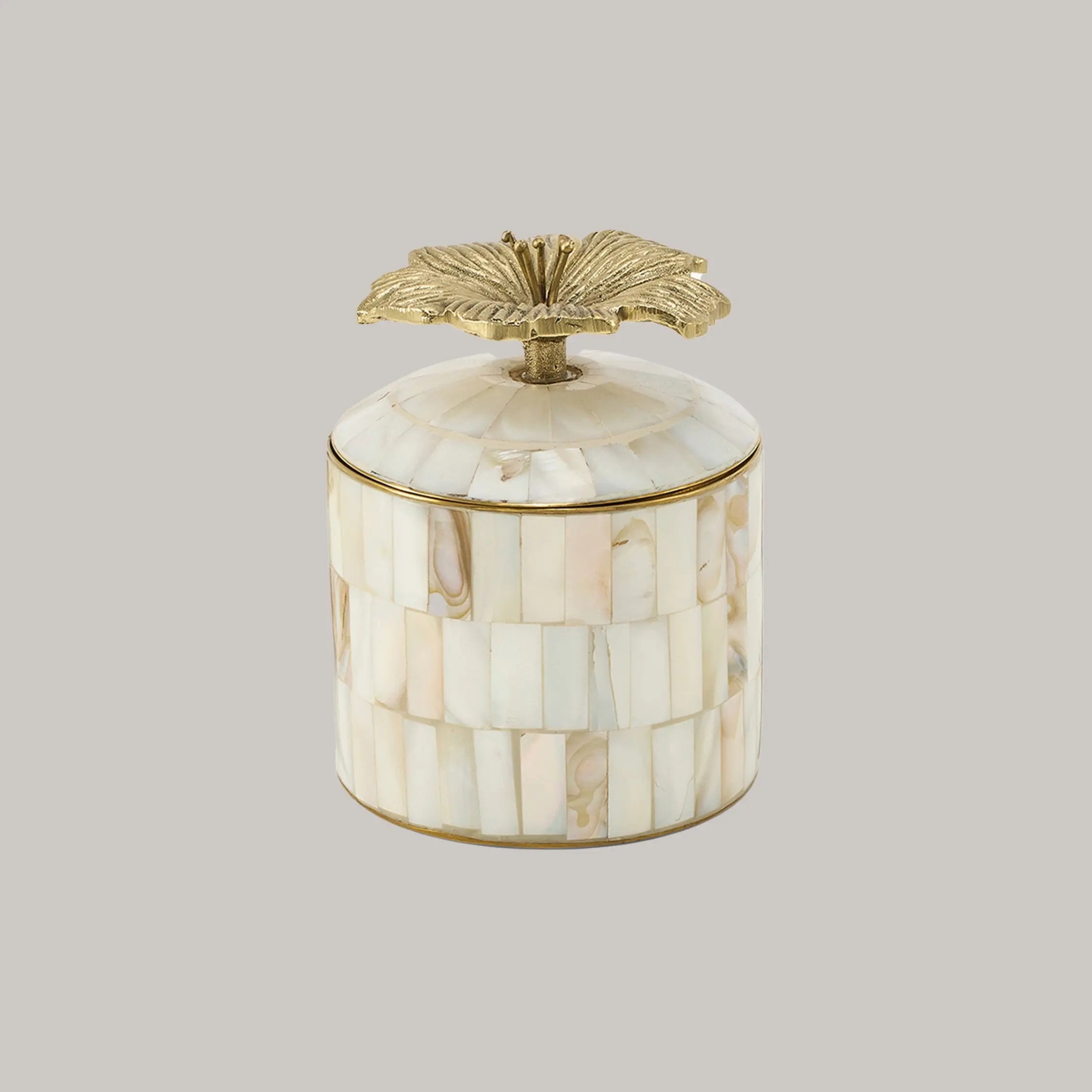 Hibiscus Circus Box Doing Goods