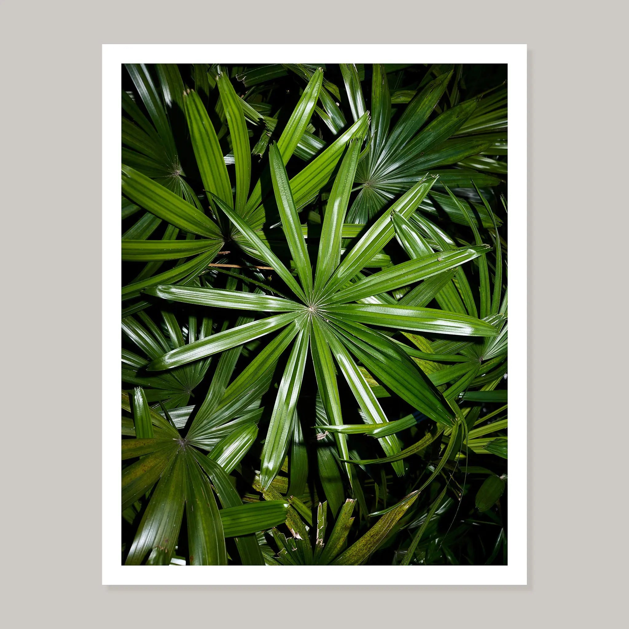 Benefit Print Series Noah Sheldon