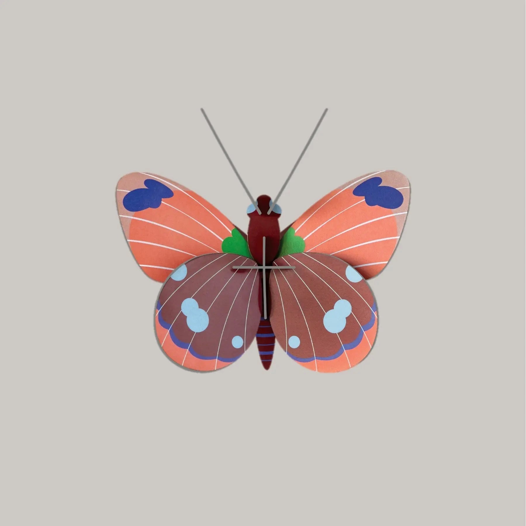 Delias Butterfly Studio Roof