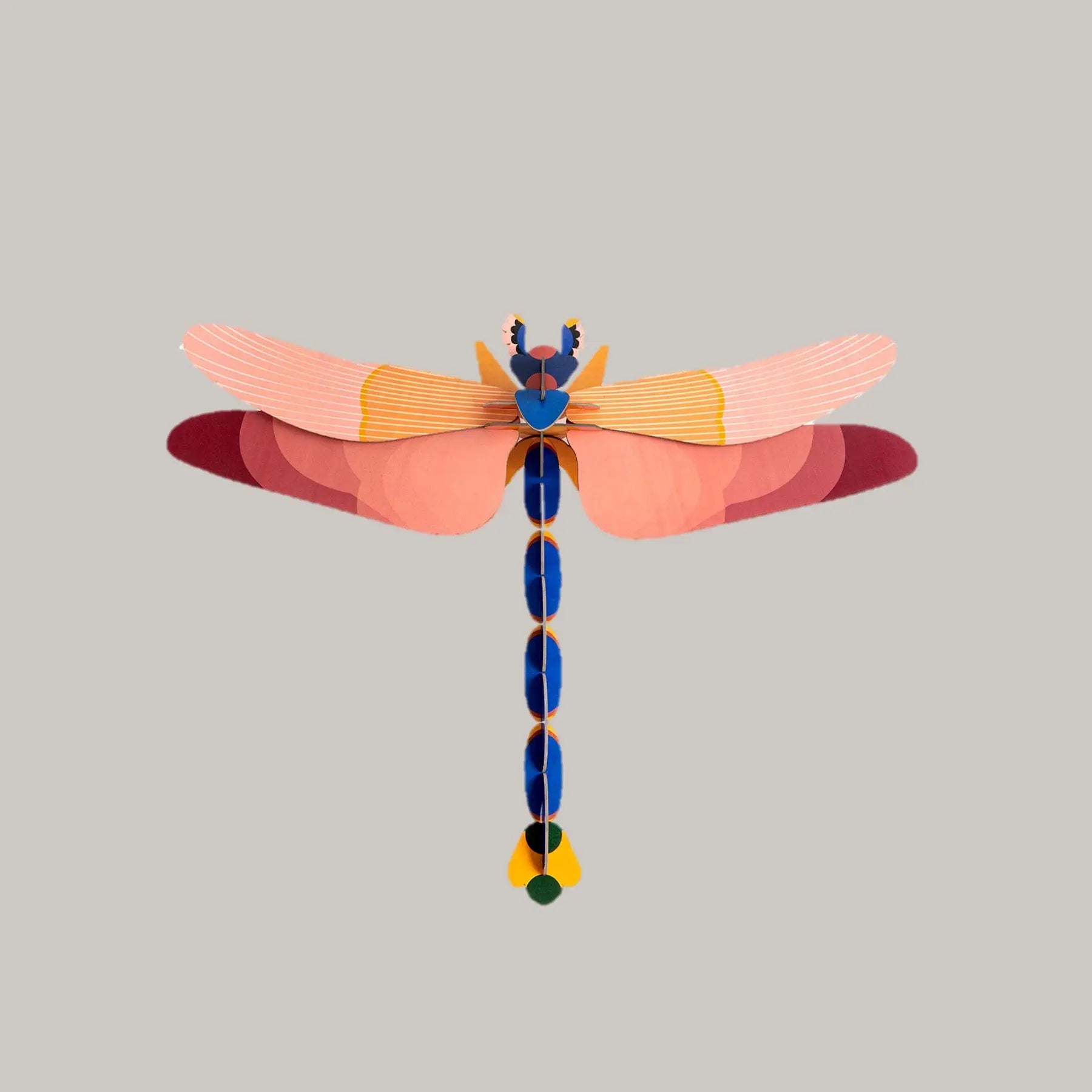 Pink Dragonfly Studio Roof