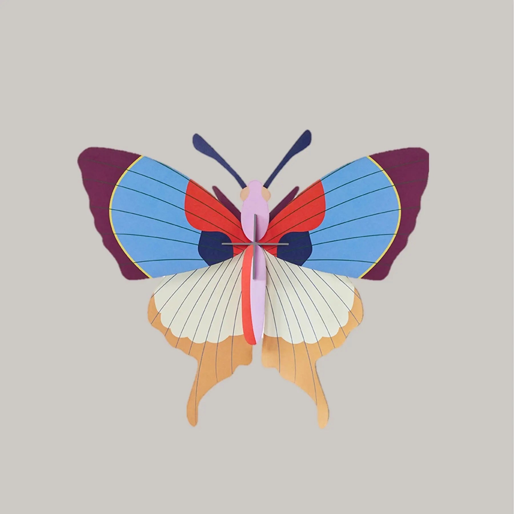 Plum Fringe Butterfly Studio Roof