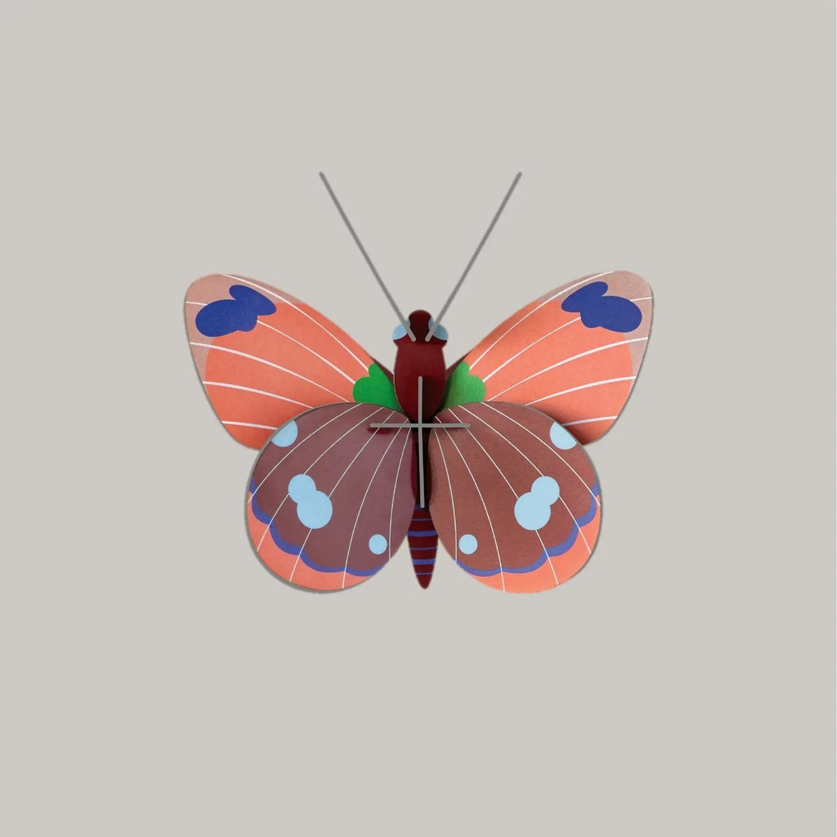 Delias Butterfly Studio Roof