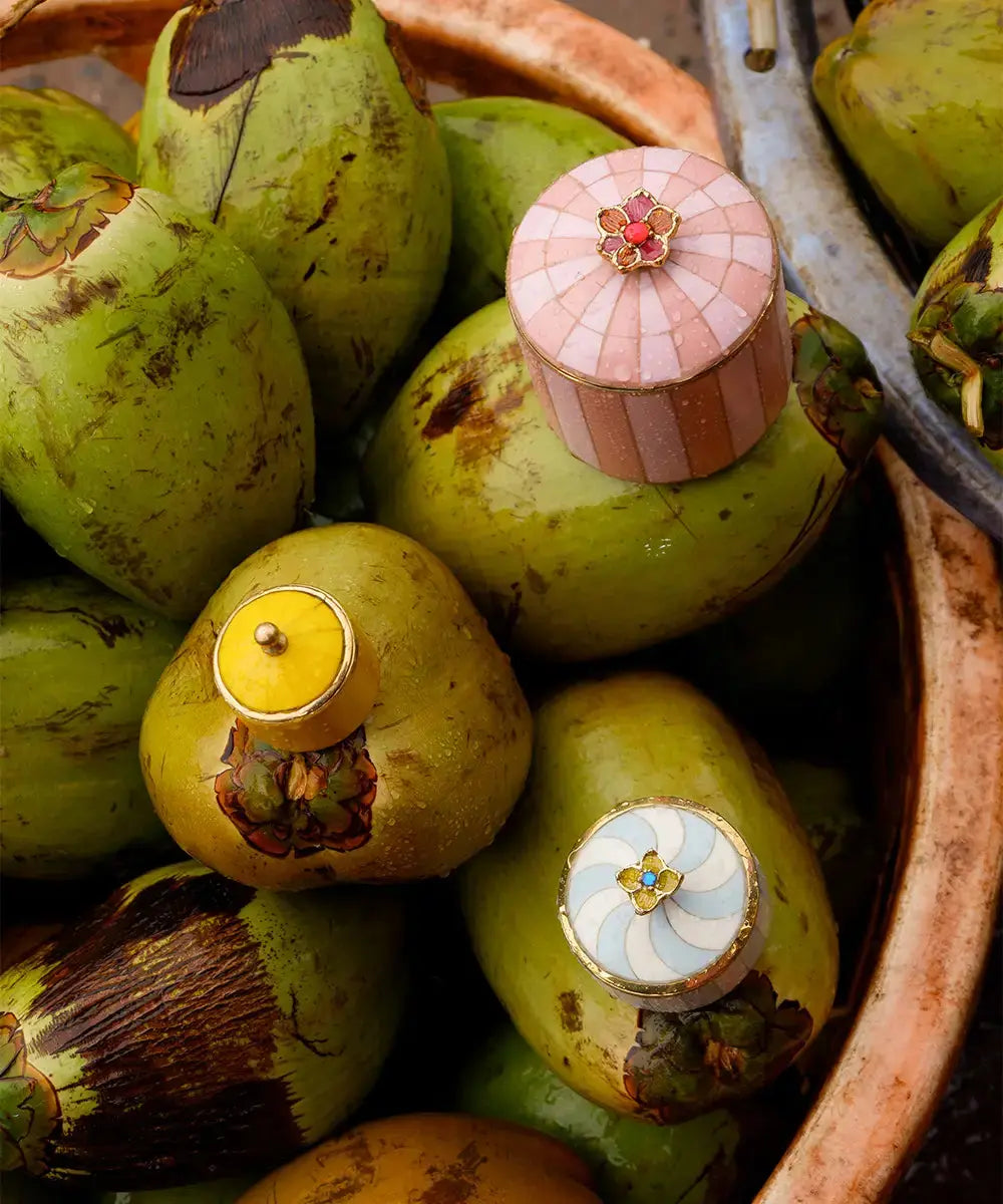 Circus Box - Pink & Tan