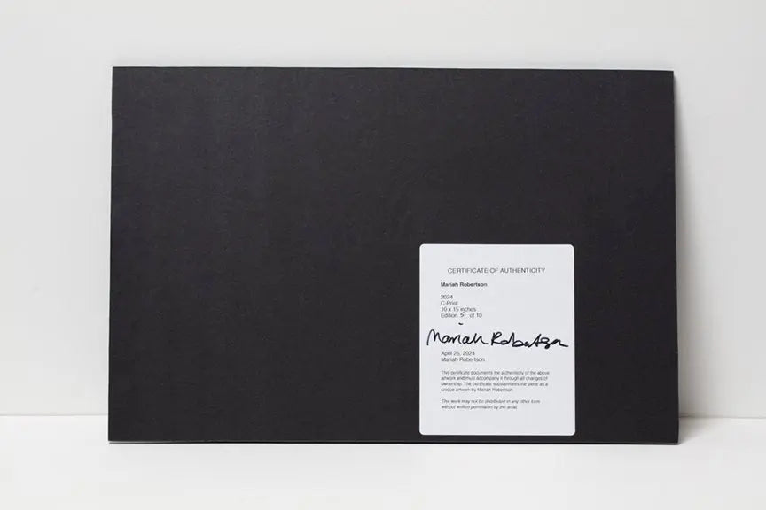 Details Editions 2014 090-3 Mariah Robertson