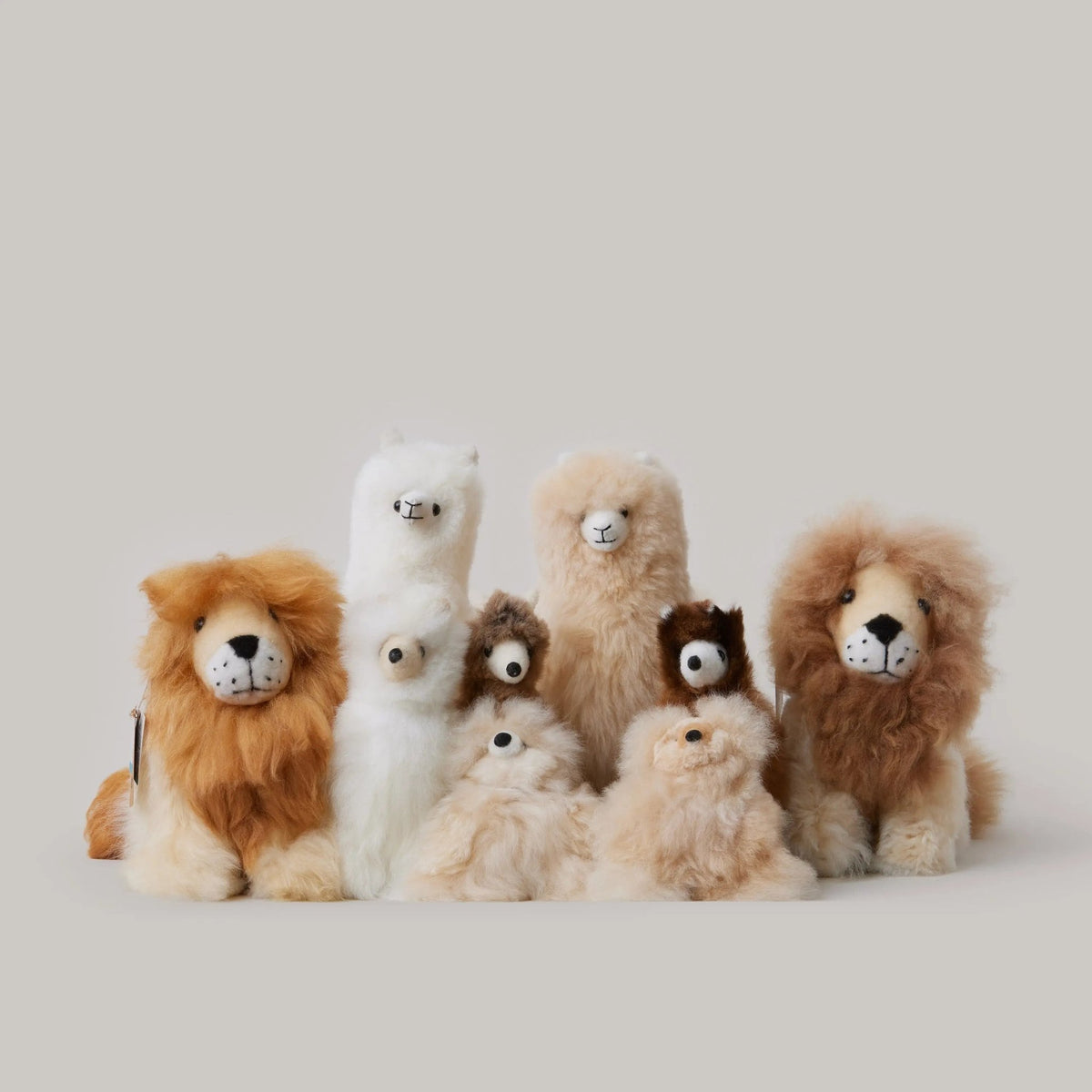 Alpaca Lion Shupaca
