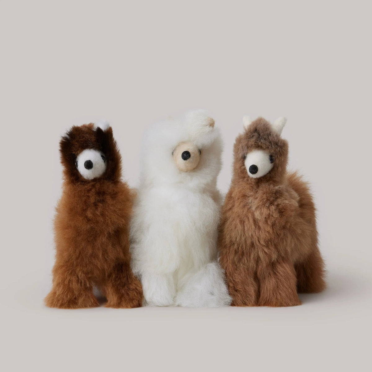 Alpaca Llama Shupaca