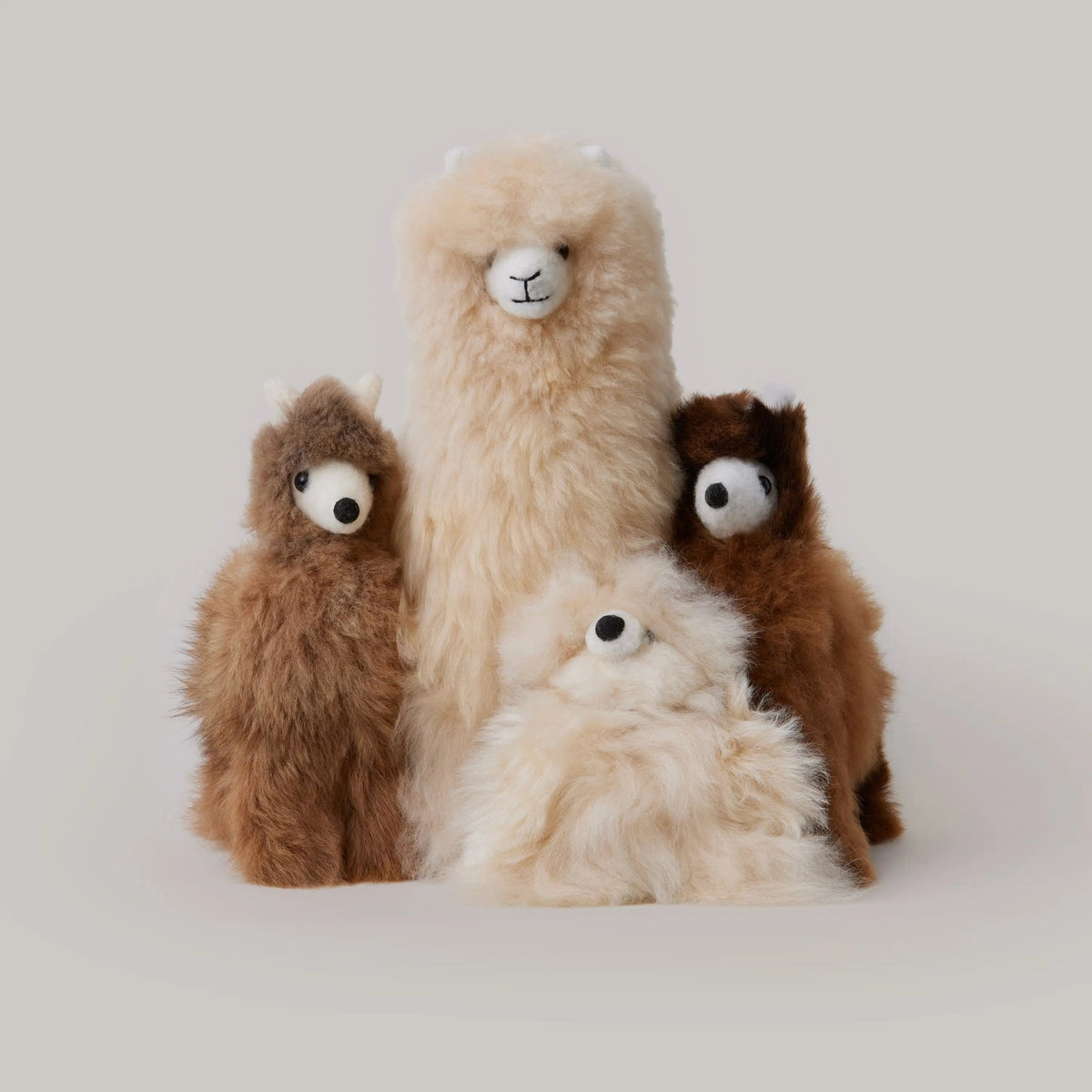 Alpaca Llama Shupaca