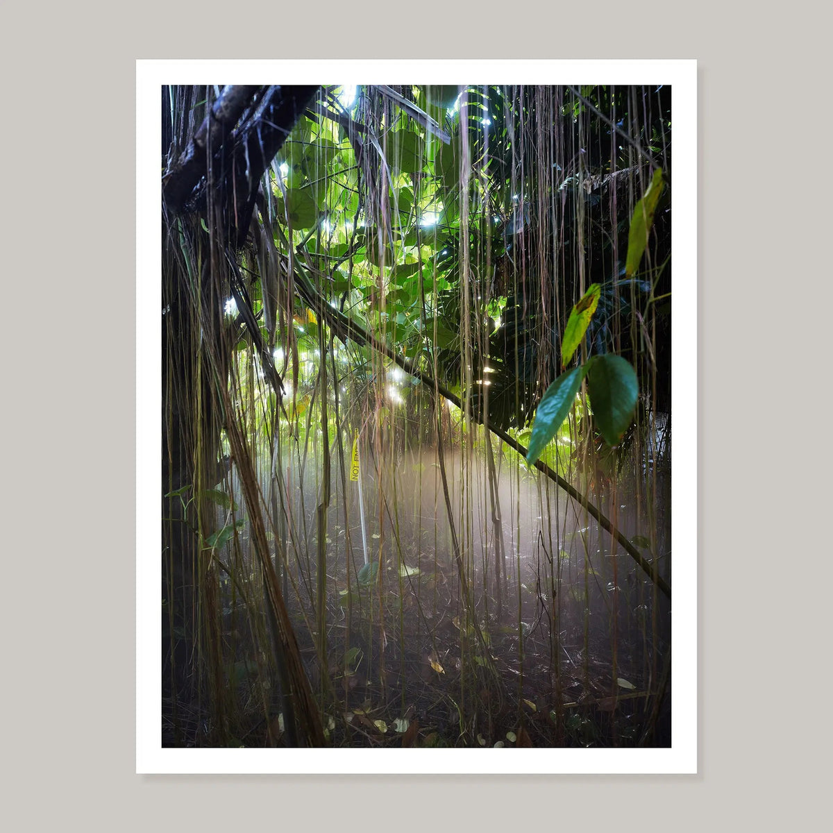 Benefit Print Series Noah Sheldon